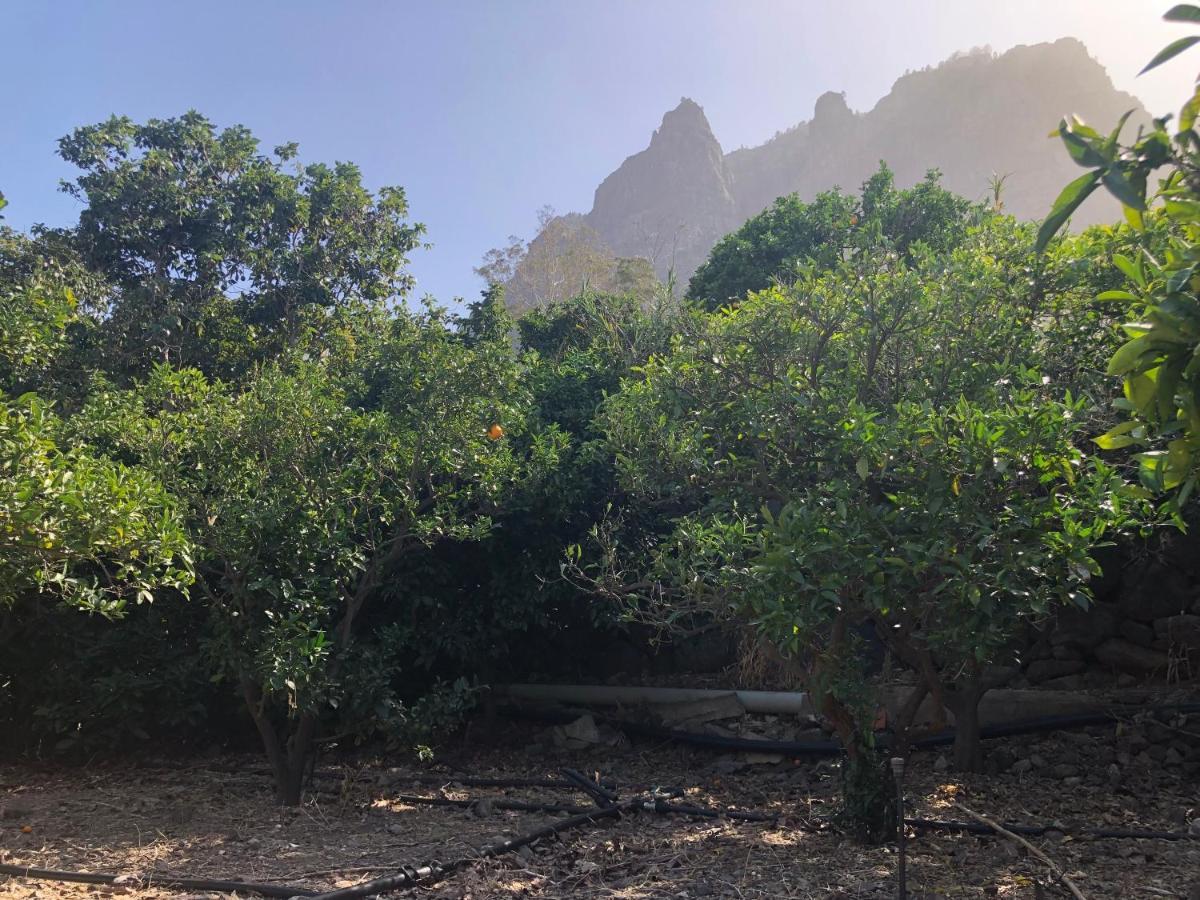 דירות אגאטה Casa Camino Tamadaba מראה חיצוני תמונה
