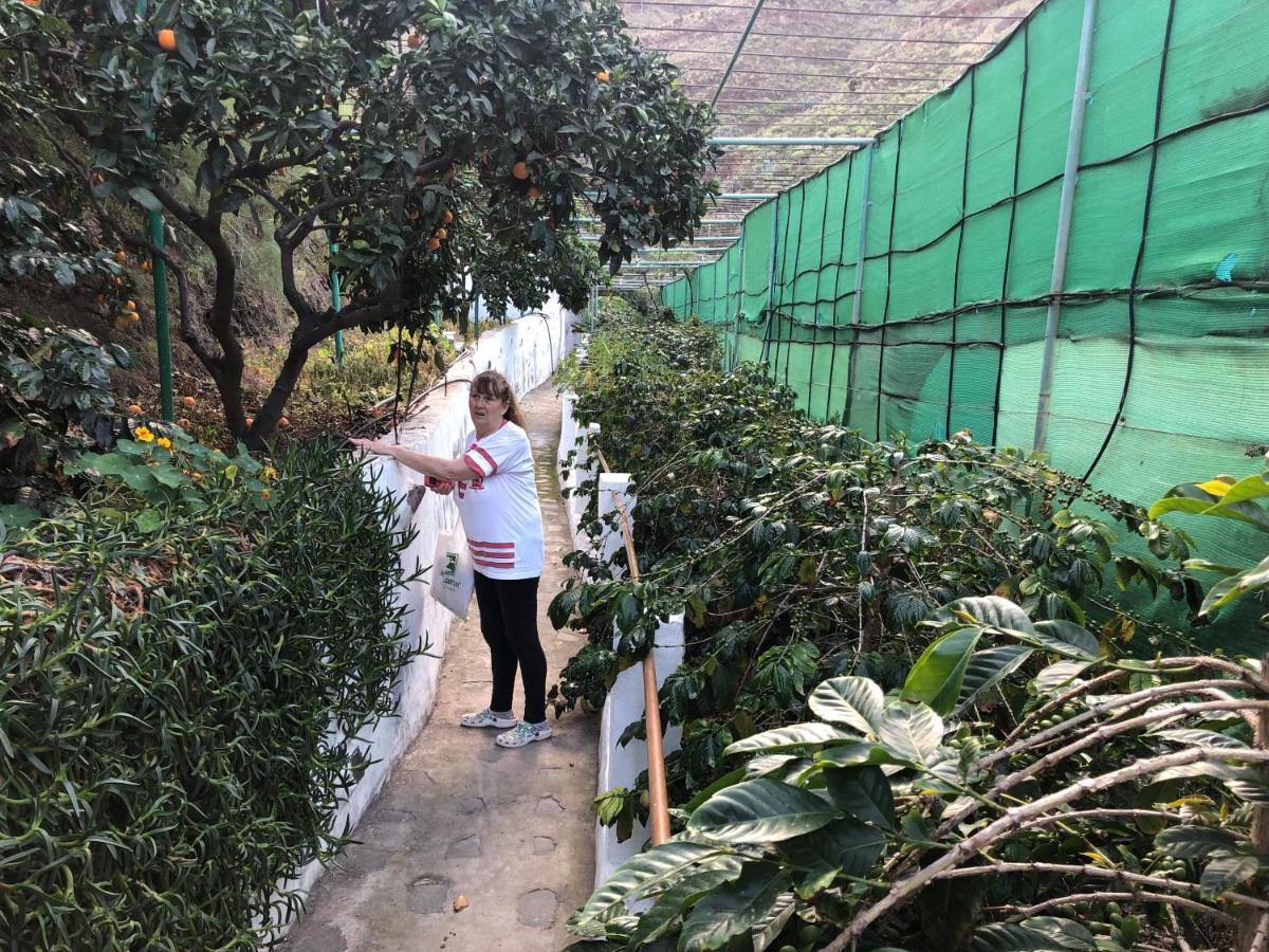דירות אגאטה Casa Camino Tamadaba מראה חיצוני תמונה
