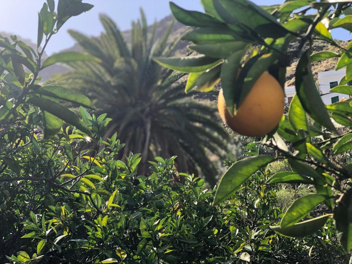 דירות אגאטה Casa Camino Tamadaba מראה חיצוני תמונה