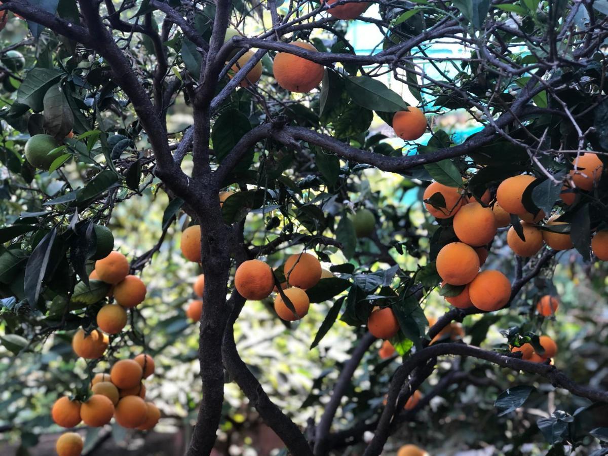 דירות אגאטה Casa Camino Tamadaba מראה חיצוני תמונה