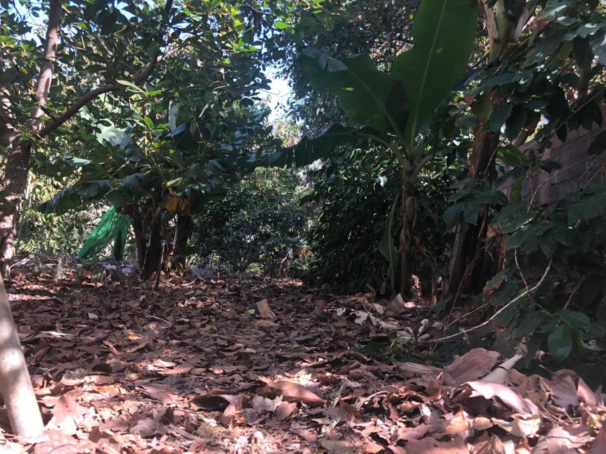דירות אגאטה Casa Camino Tamadaba מראה חיצוני תמונה